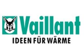 Vaillaint